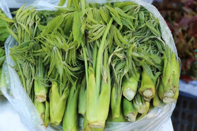 罗平“春味”正鲜，错过再等一年