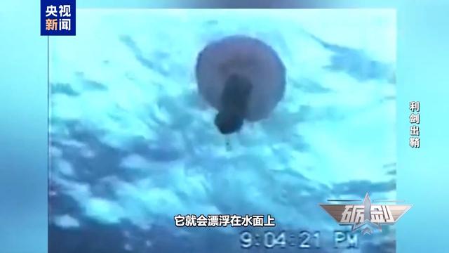 中国渔民多次捞到“间谍鱼”