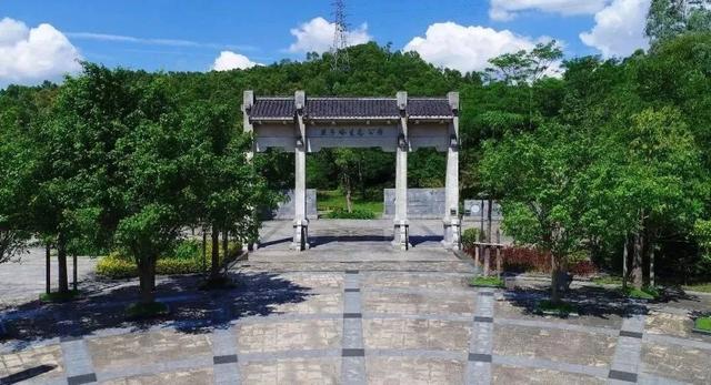 可直达坪山高铁站！这条公交线路通勤游玩两相宜~