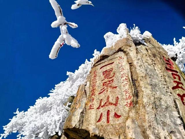 岱宗披霜缟 冰韵醉人间