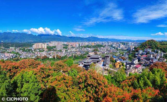 秋日城市风光