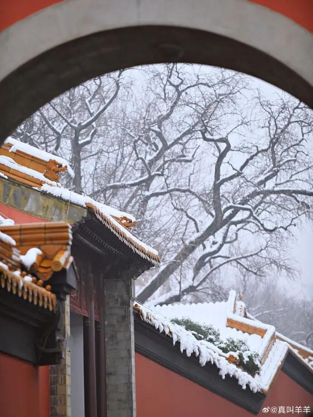 金陵飞雪讯，静待秦淮妆