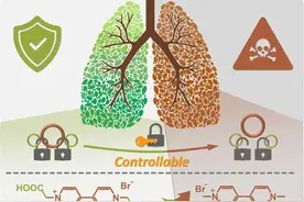 CCS Chemistry | 中国人民大学王亚培团队：生物安全的百草枯前体图片