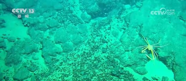 新突破！我国探秘冰海不停步 蛟龙号“硬核破冰”更有“潜力”