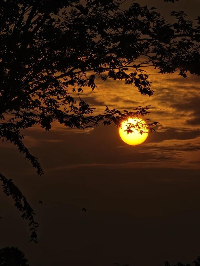 一键收藏！向化镇邀您打卡限定版秋色