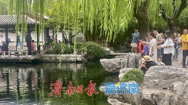 一年四季 泉在济南丨秋日亲泉热潮涌动 “泉水游”持续升温