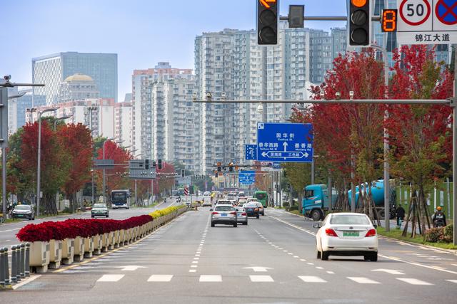 夏赏紫英秋观红 锦江大道秋色上线