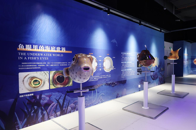 快预约！1月22日起，河南省科技馆能“深海”探险！