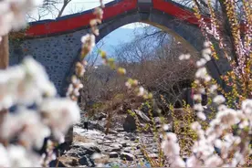 京西有惊喜 繁花石景山｜去西山绿道奔赴【人间四月天】（一）图片