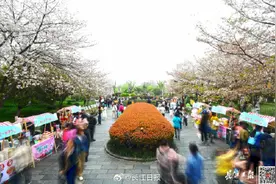 升温！武汉今年将首次直冲30℃图片