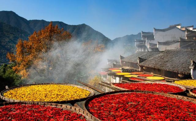 “秋假”第一站！上饶把最美的颜色，“晒”给你看