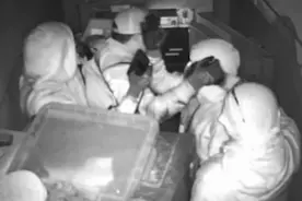 美国4名小偷趁夜抢劫珠宝店 得手后击掌庆祝画面被拍下图片