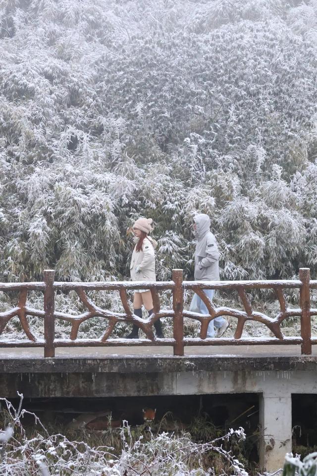 瓦屋山百万游客倒计时！“天选锦鲤”即将诞生，解锁独一份的重磅惊喜！这份天降好运会是你的吗？！