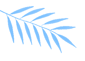 乘着高铁游白山 | “百区百景”打卡攻略之仙人桥温泉旅游度假区