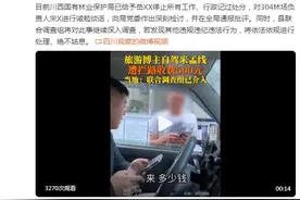男子自驾理县被拦路收费500元，当地：情况属实图片