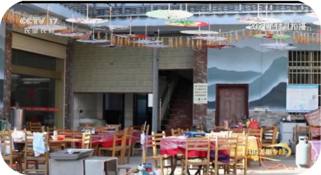 千年银杏韵，金黄满地诗，金色海洋游玩攻略来了！