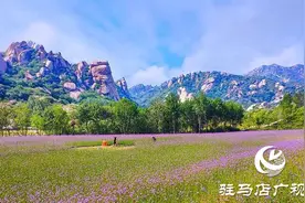 驻马店：景区推出优惠活动 暑期惠及广大学生图片