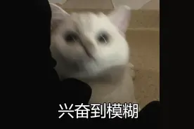 观海杂话铺 | 接好运！“尖叫+弹射+拥抱”，高考查分名场面来了→图片