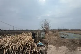 84岁老人被拐75年后回湖北黄梅认亲：哥哥拉着他的手怕再丢了，发小们围着他回忆童年图片