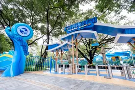 一票通玩海陆空！广州海洋馆暑期活动来了图片