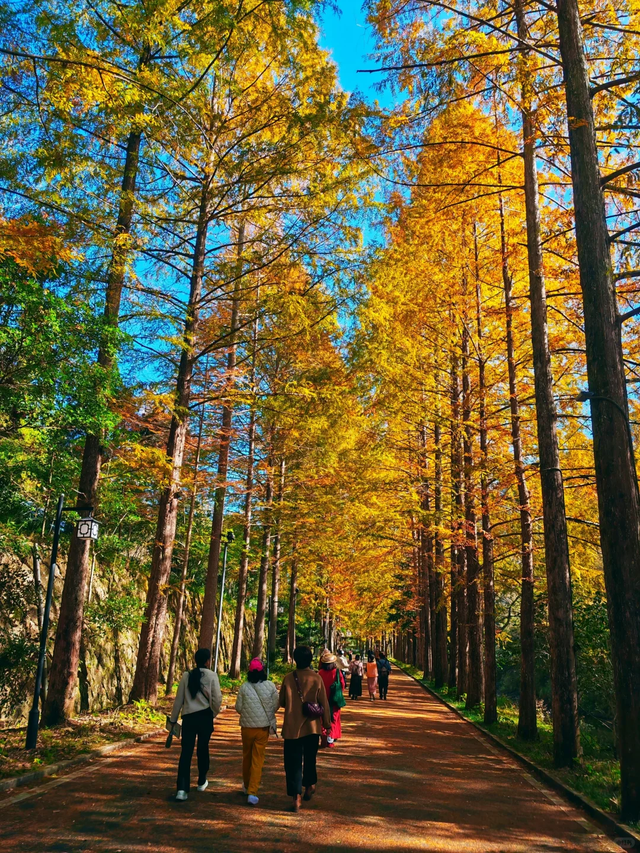 初冬“回血”指南，一起解锁自然疗愈之旅