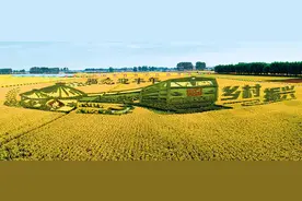 中央媒体看辽宁丨瞭望：东北全力筑牢国家“五大安全”基石图片