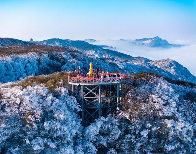 一秒入仙境！金佛山冬雪、日出、云海绝美同框