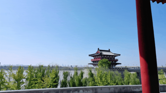 【美丽瀍河】瀍河这份秋季浪漫藏不住了！错过再等一年...