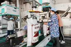 优品质强品牌拓市场！庄品健：让天门优质大米享誉全国图片