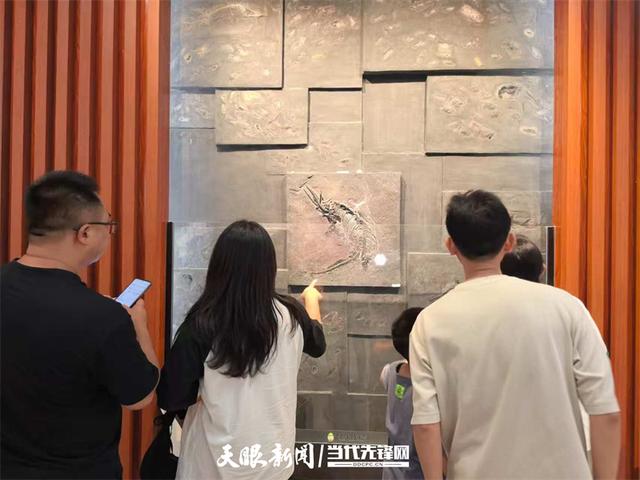 日均接待游客破万人次！贵州省地质博物馆暑期研学游火爆
