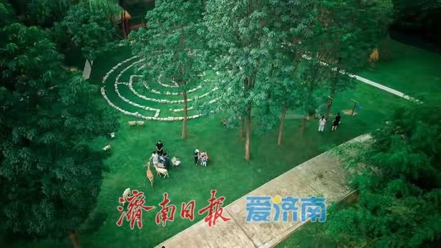 济南鲜花港“金秋游园会”国庆开启