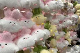 讲好武汉故事⑤丨爆火！“邪完鸟”“一鹅”“要么羊”……武汉方言玩偶成五一假期热门伴手礼图片