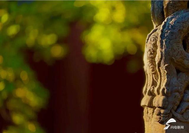 组图丨岱庙初冬美如诗 银杏书写“暖冬情书”