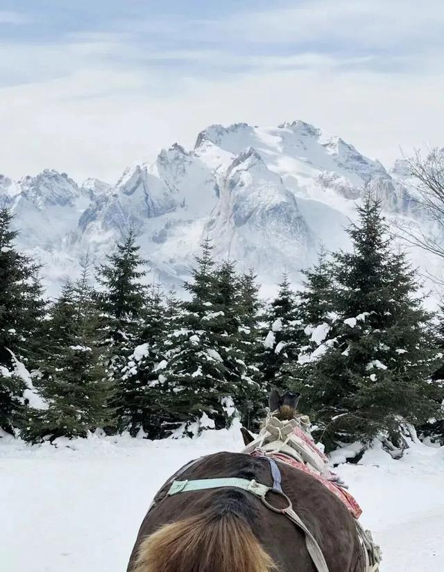 升咖版安图即将上线！N种冬日诗意美景等你打卡