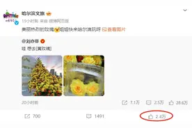 哈尔滨文旅回复刘亦菲：姐姐快来哈尔滨玩呀！互动点赞量已超2.4万图片