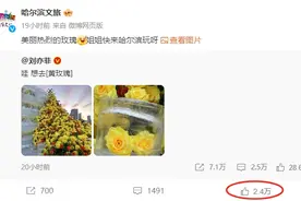 哈尔滨文旅回复刘亦菲：姐姐快来哈尔滨玩呀！互动点赞量已超2.4万图片