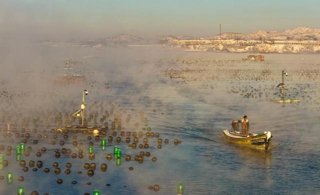 绝美！雪后荣成海湾上演“海浩”盛景