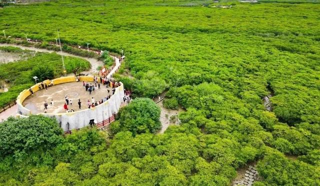 “缀美”！一起解锁湛江这里的墙绘宝藏地图→
