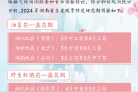 春天花开正盛，这份赏花时间表请收好！图片