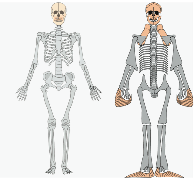 这个小盒子里的化石材料，产生了非常多举世瞩目的成果	，有十几篇顶刊文章｜卢静 一席少年第36位讲者