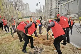 我们的城市叫郑州∣熊耳河畔植树忙 绿城春日添新妆图片