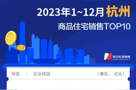 每经数读｜2023年全国诞生10个百亿大盘！销冠楼盘竟不在一线城市图片
