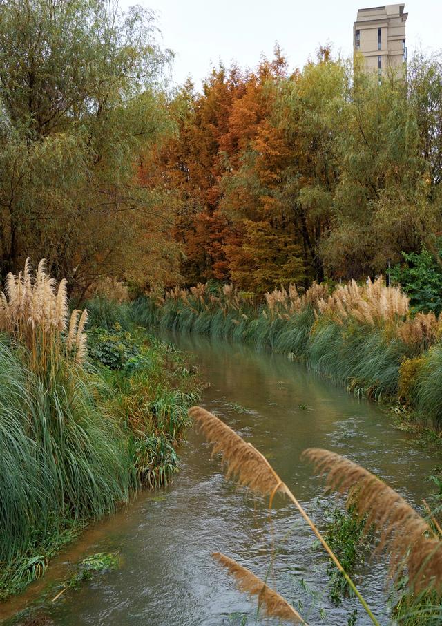 【天眼影像】来七星关拍冬日氛围感美照