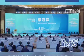 蔡冠深：华创会为媒，让世界华商更紧密合作图片