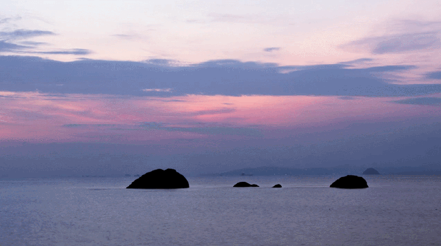 为什么是厦门？