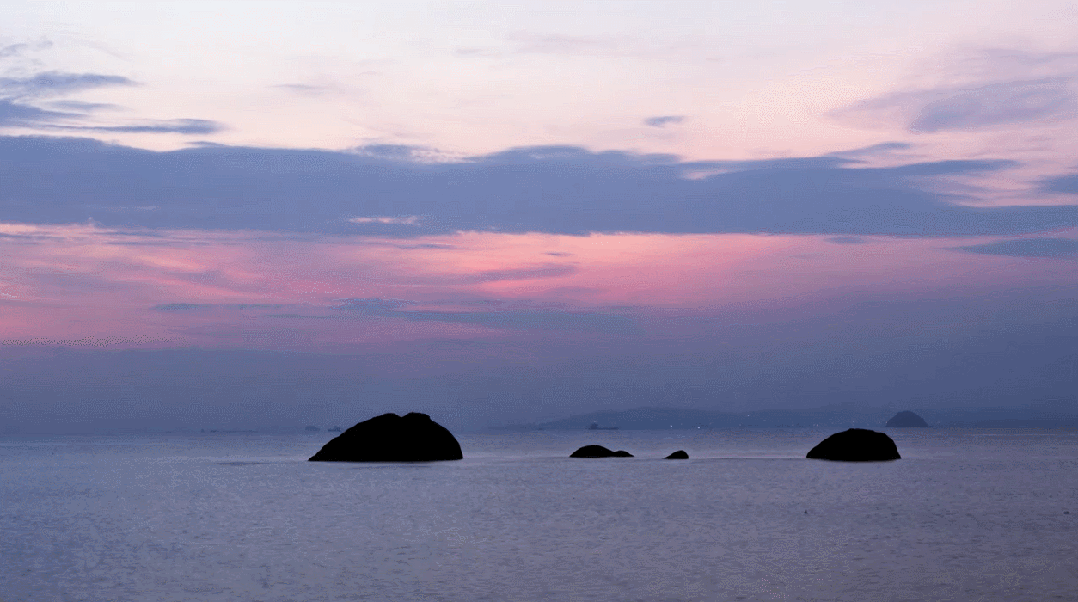 为什么是厦门？