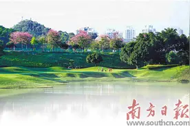 东莞打造现代服务业新引擎图片