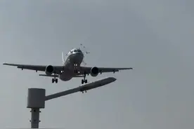 鸟击威胁航空安全，何时是风险较高时段？图片