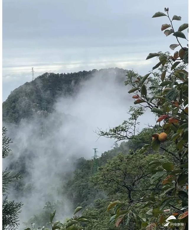组图丨泰山秋韵：当云海吻过山林 是独属于十月的浪漫