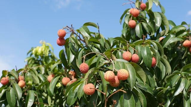 贵州册亨：碧水映双桥 夏日江景美